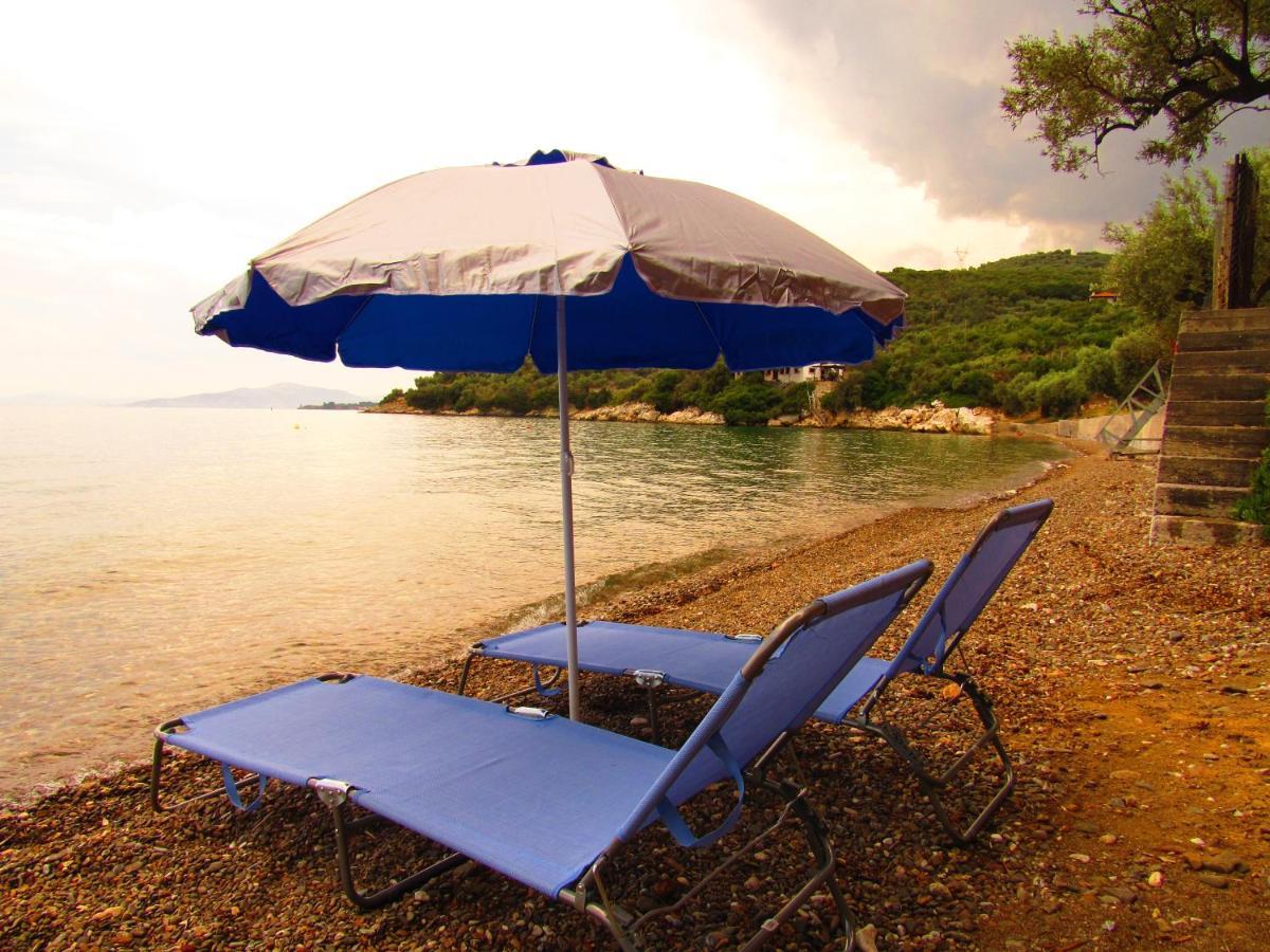 Christie'S Ground Floor Apartment By The Sea Kato Gatzea Ngoại thất bức ảnh